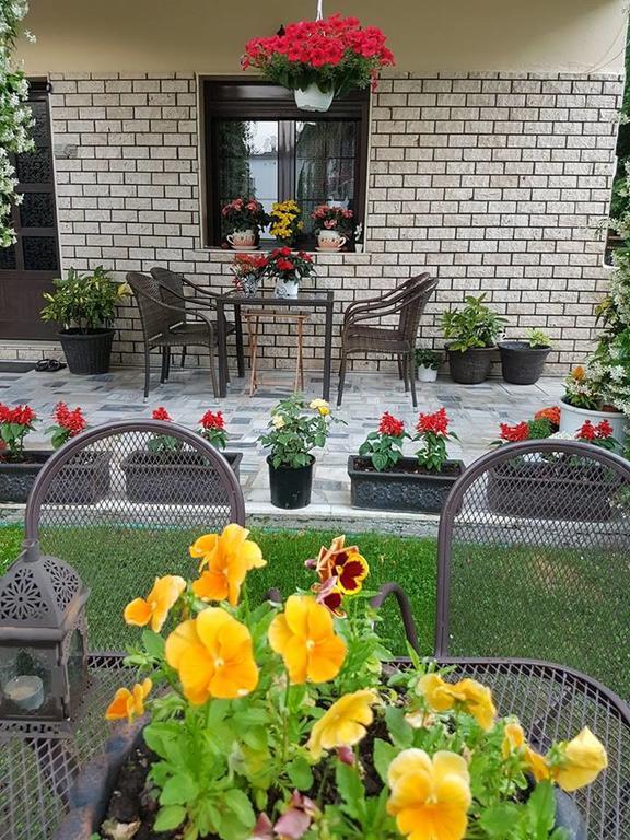 Guest House Vaso Órma Екстериор снимка
